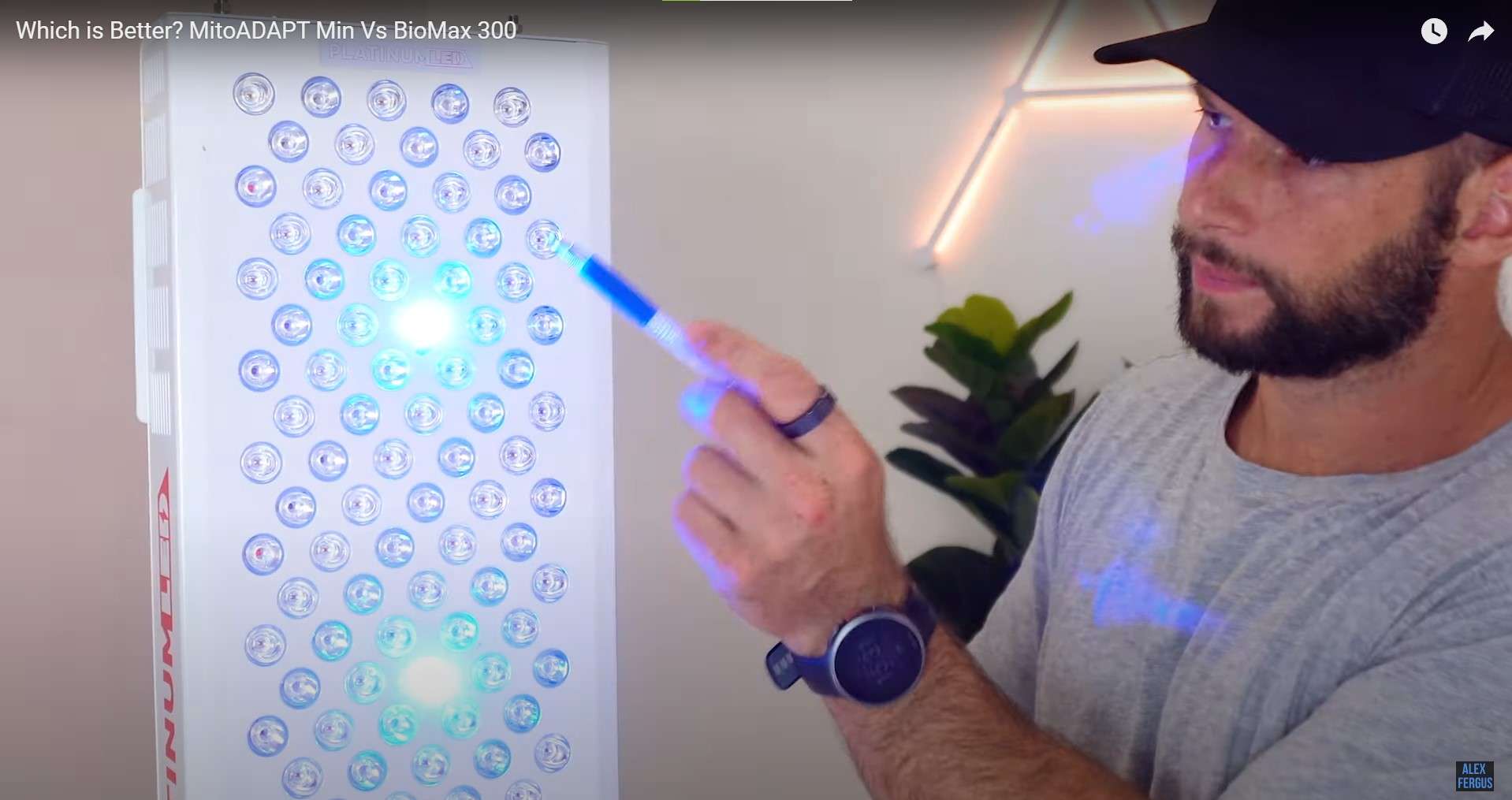 Blue light LEDs shining in the BioMAX 300