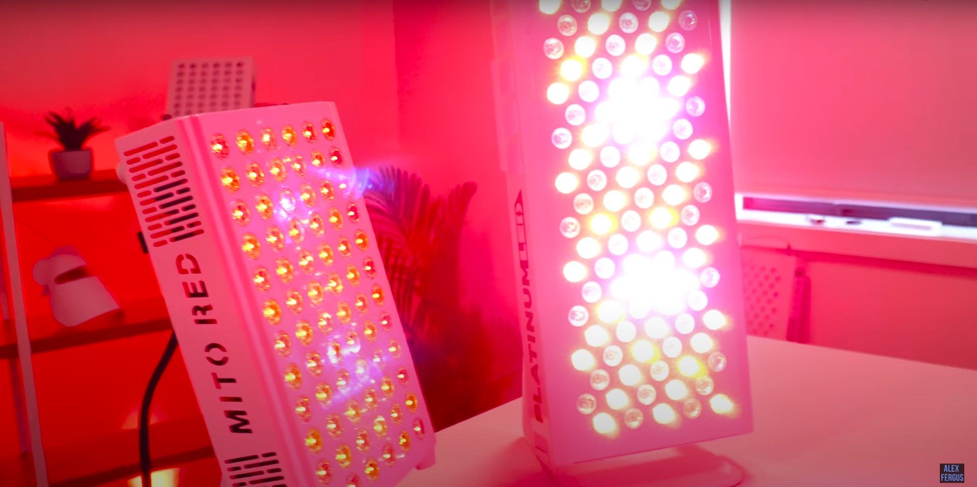 Alex Fergus comparing these two high powered tabletop light therapy panels